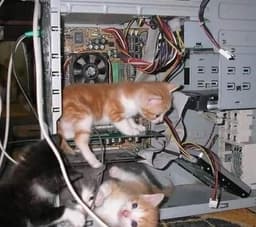 programming